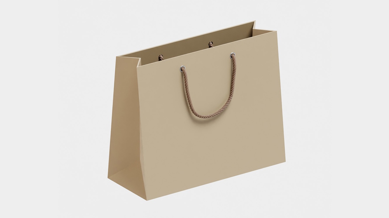 Media 1 for listing Shopping bag