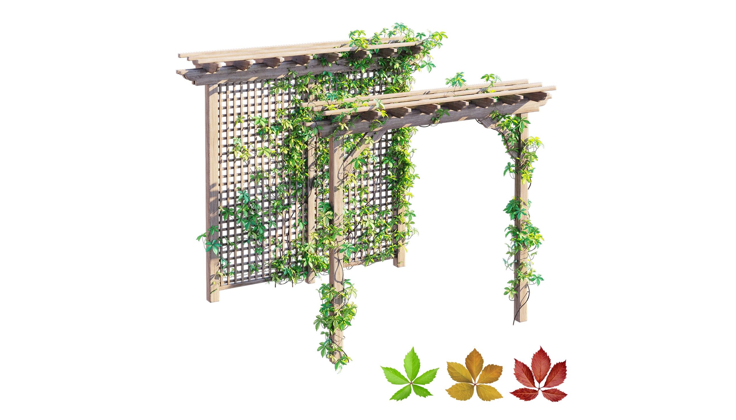 Media 1 for listing Pergola with lattice