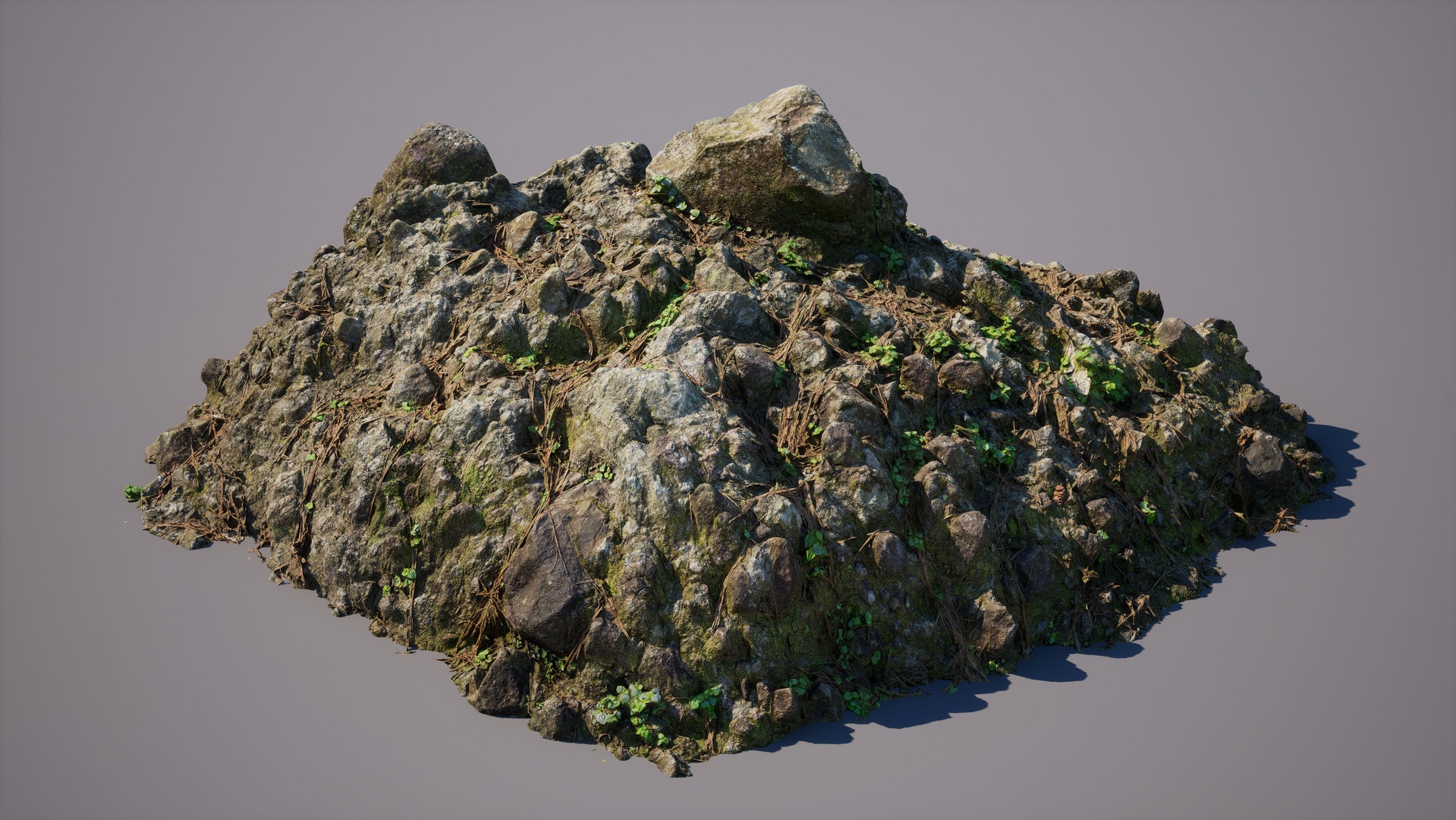 Media 1 for listing Forest Ground Rock 001