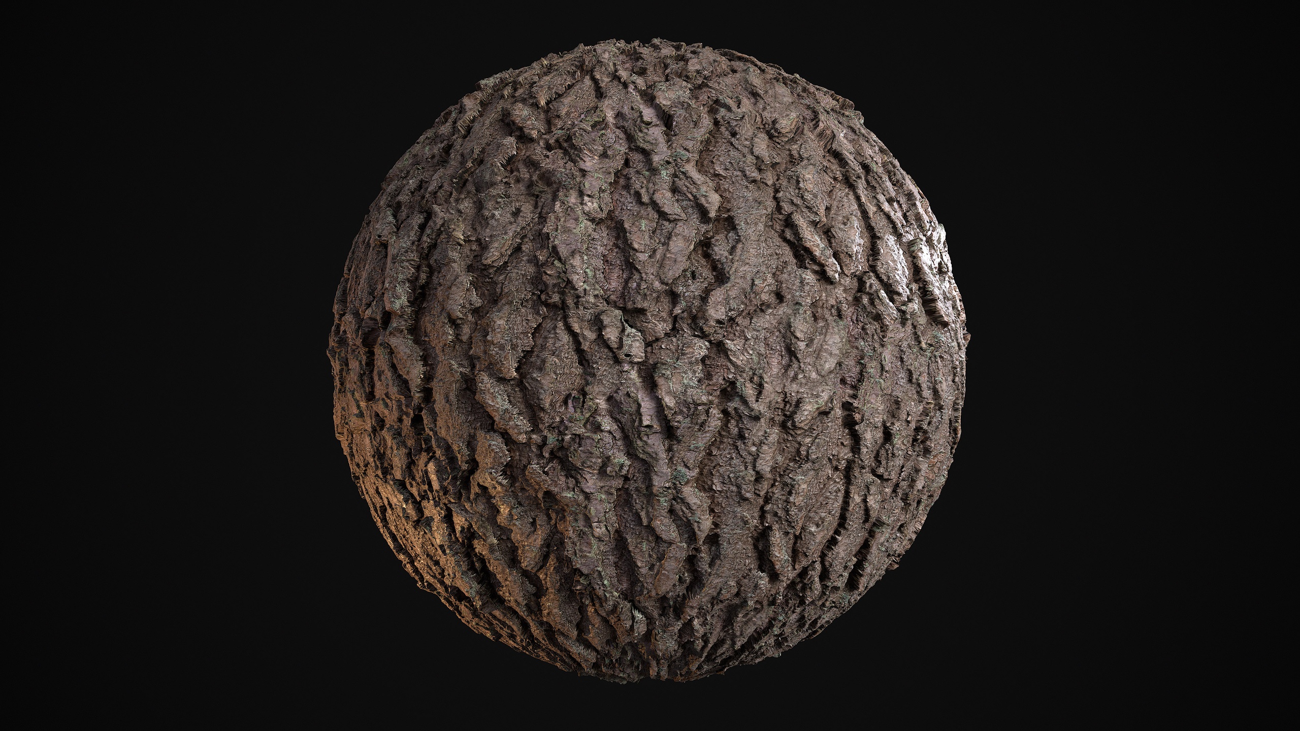Media 1 for listing Spruce Bark - Photogrammetry