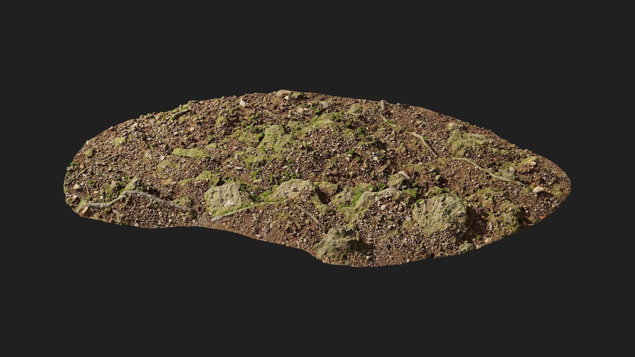 Media 1 for listing Forest European Broadleaf Ground Rock M 01