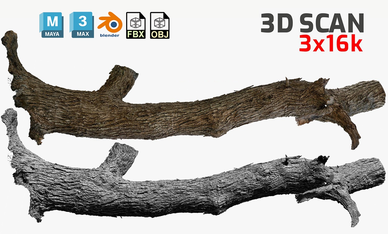 Media 1 for listing Tree Trunk #9 3D scan 3x16k  2x8k Textures OBJ FBX Blender Maya 3Ds-Max