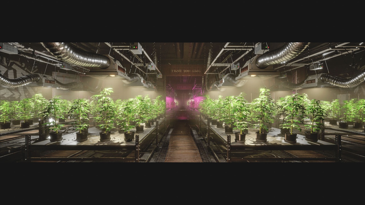 商品 Basement Plantation 的媒体 1