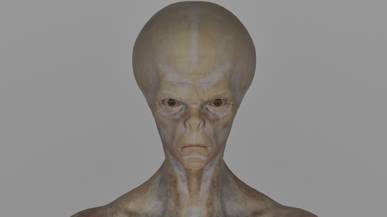 Media 1 for listing Mr. Alien | Metahuman Editable Character