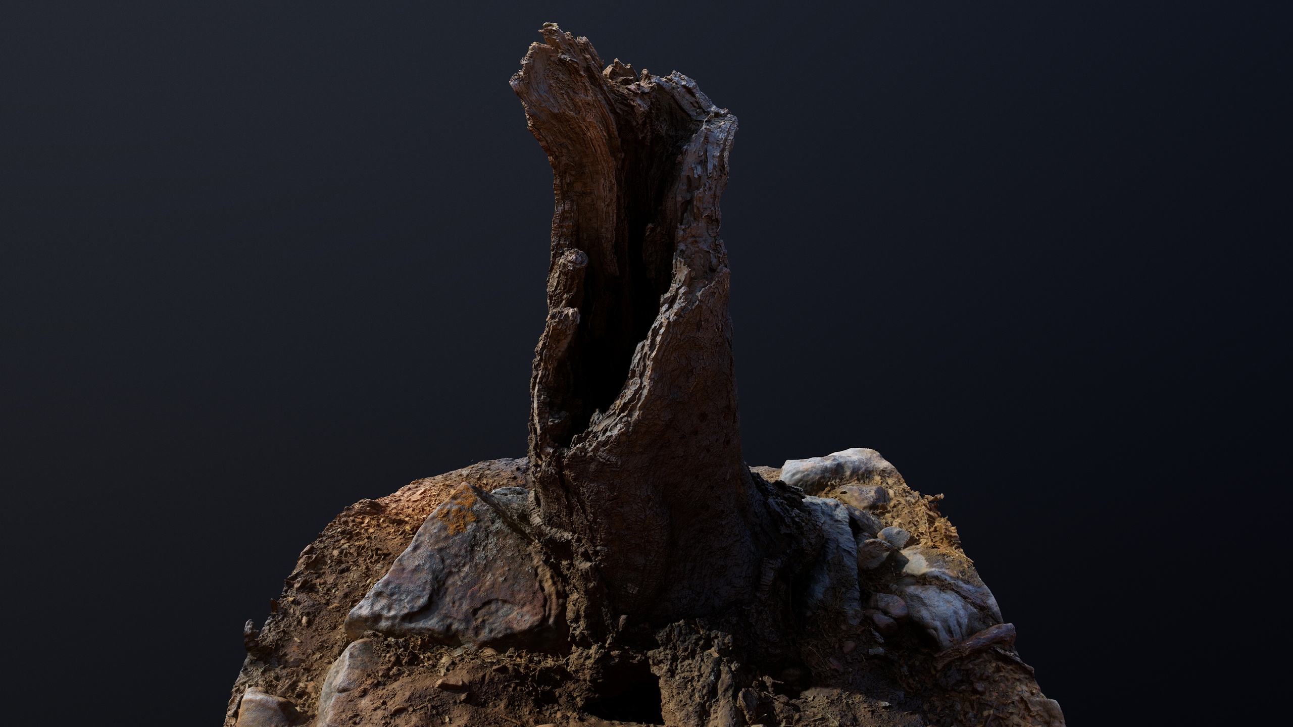 Media 1 for listing Brokentrunk