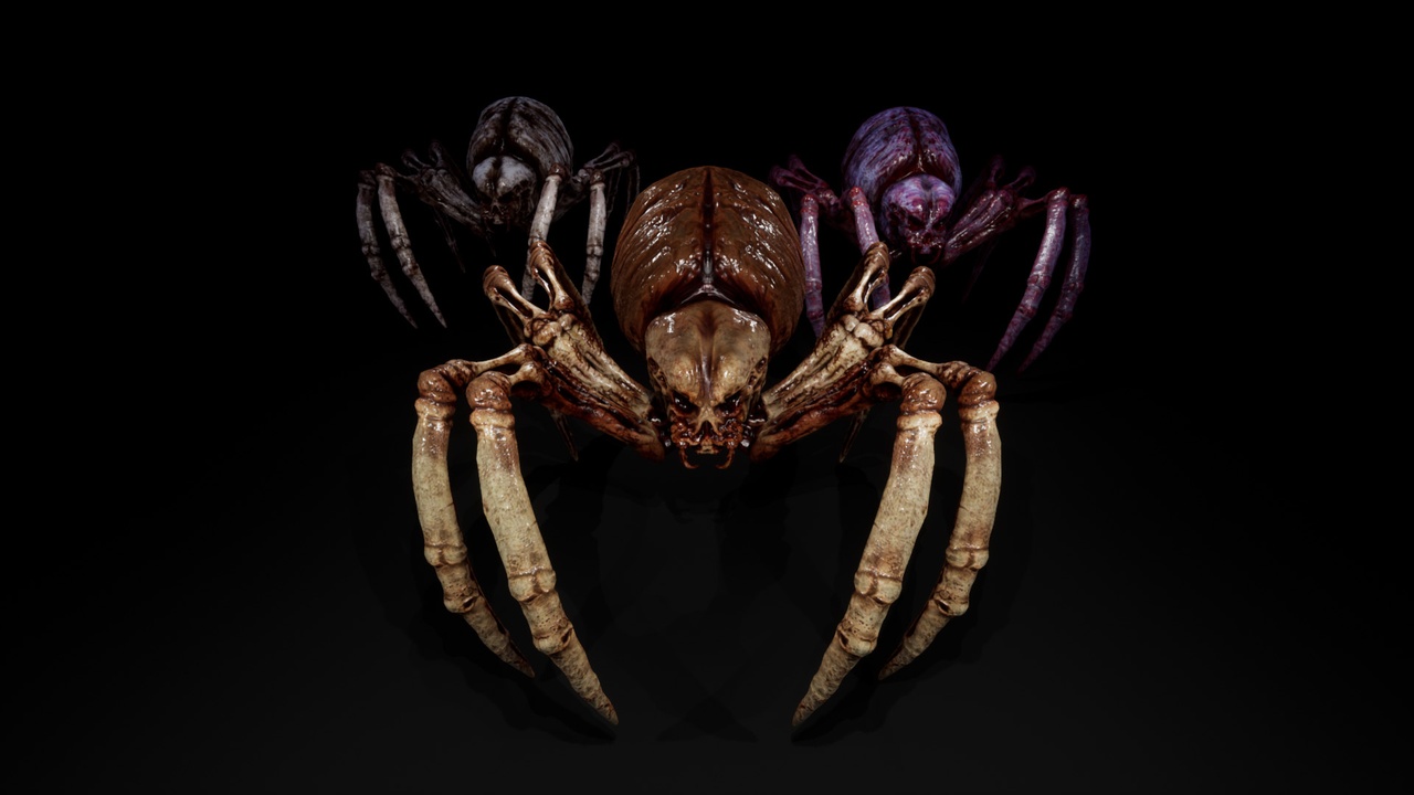 Media 1 for listing Spider Death