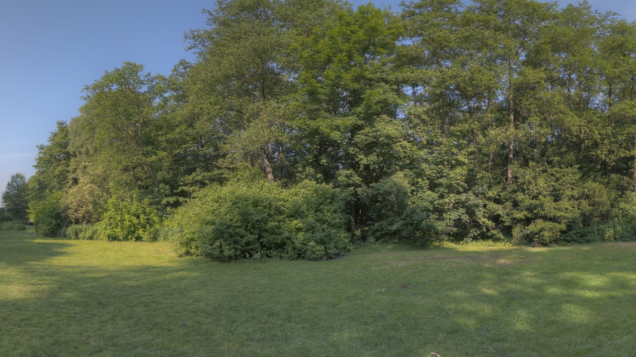 Media 1 for listing HDR 040 Field (Free 8K Meadow HDRI, Sunny Noon)