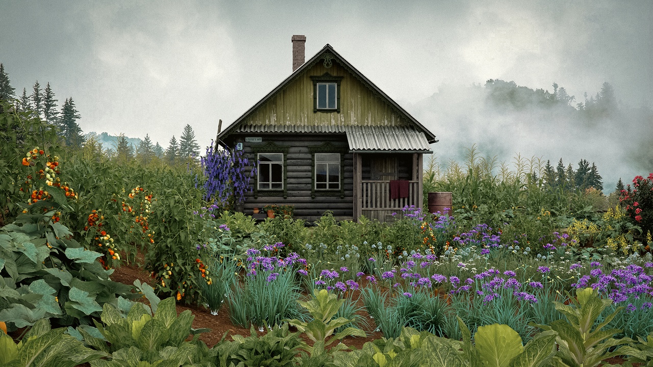 Media 1 for listing Collection 37 – Vegetable plants