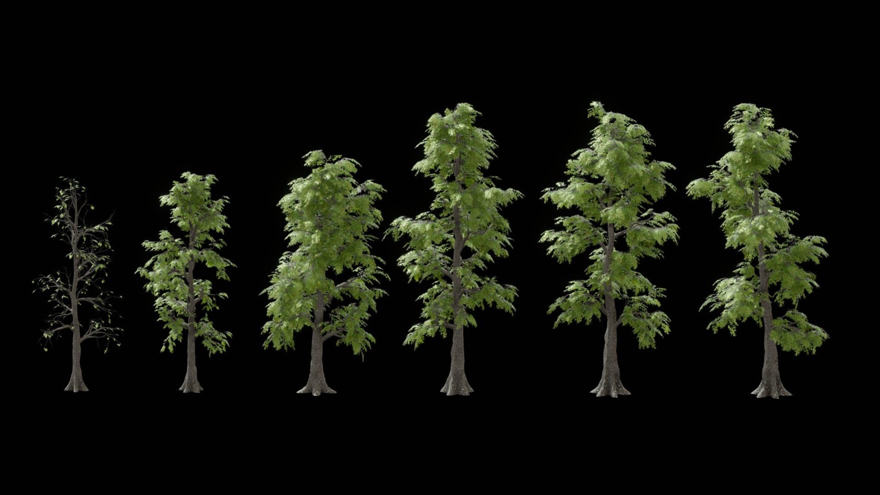 Media 1 for listing Tree Pack 5