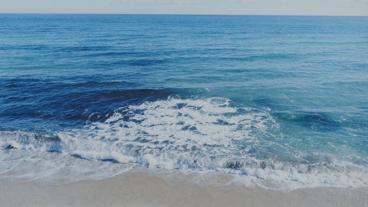 Media 1 for listing Tropical Ocean Beach Environment – 3D Model