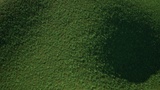Asset image