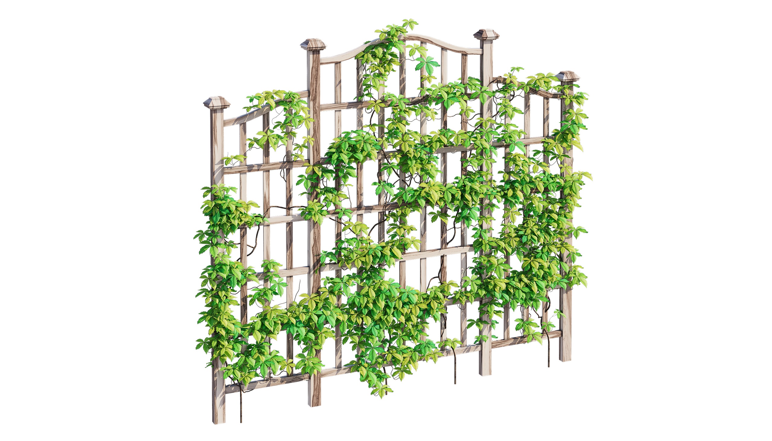 Media 1 for listing Vinyl Lattice Panel Trellis