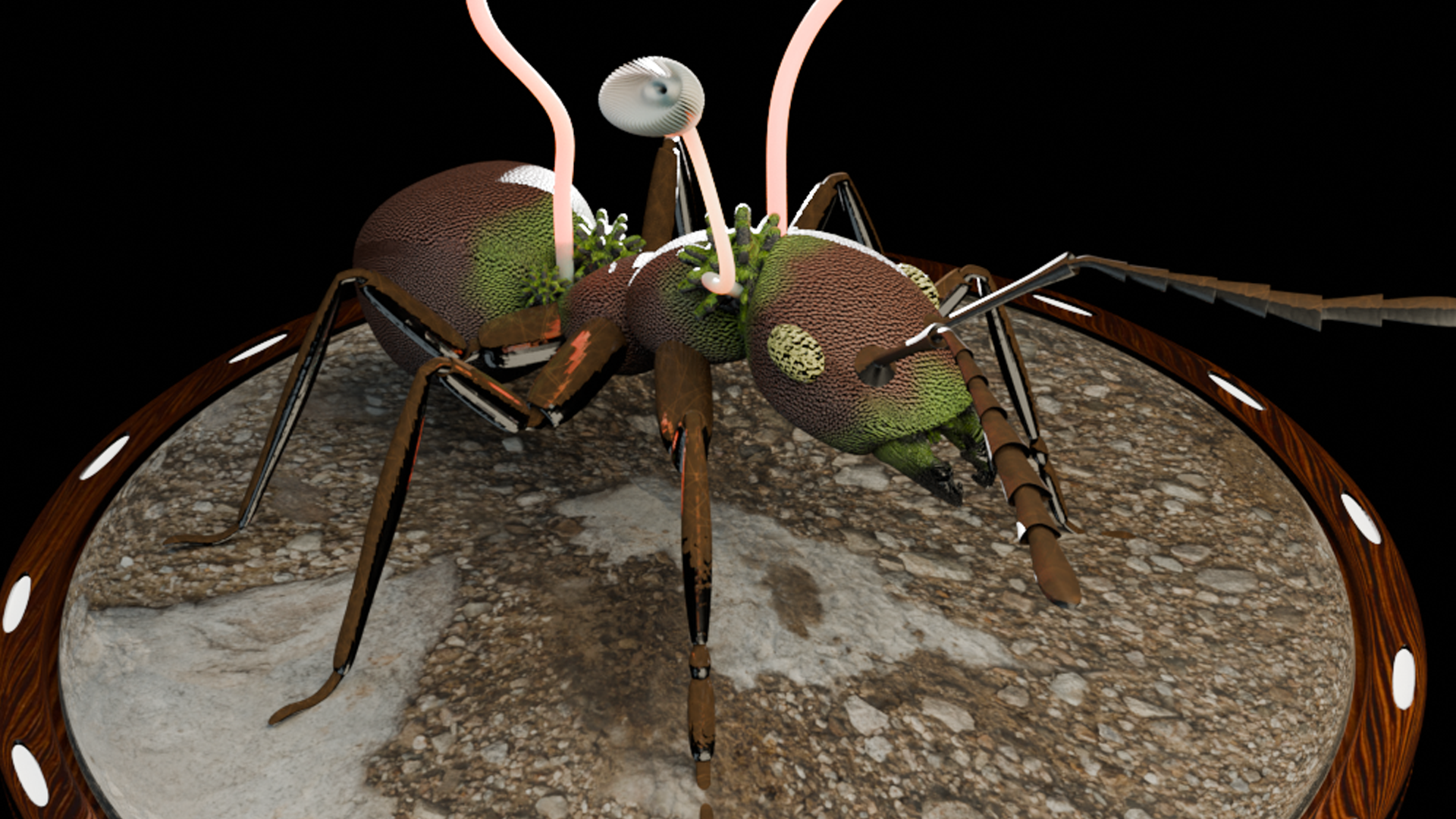Cordyceps Ant Zombie | Fab