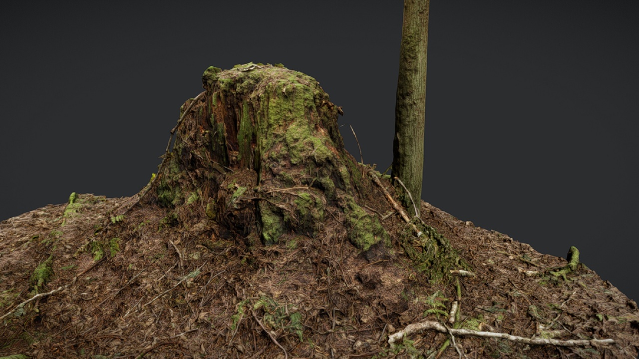 Media 1 for listing Stump 1