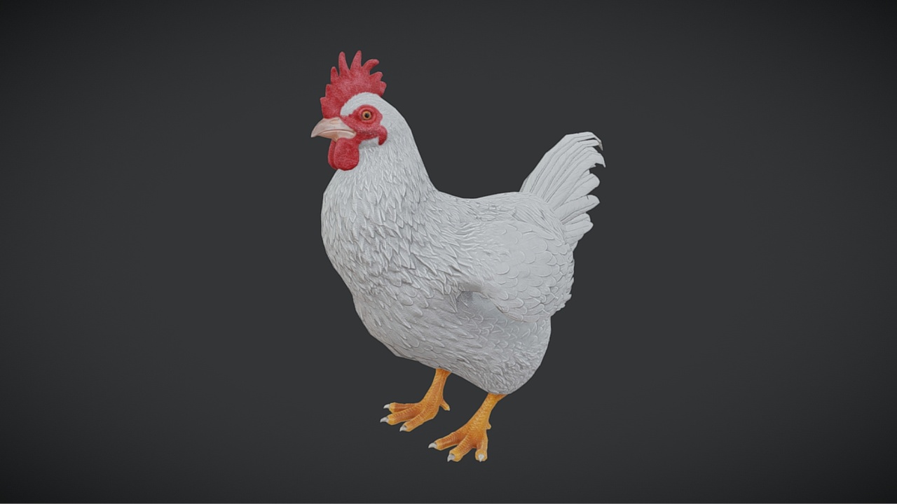 Media 1 for listing Rooster