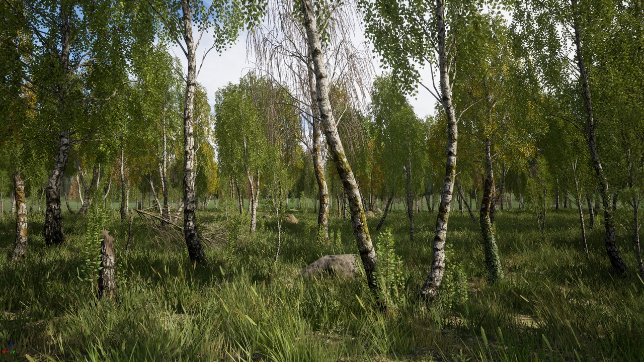 Media 1 for listing Birches Pack