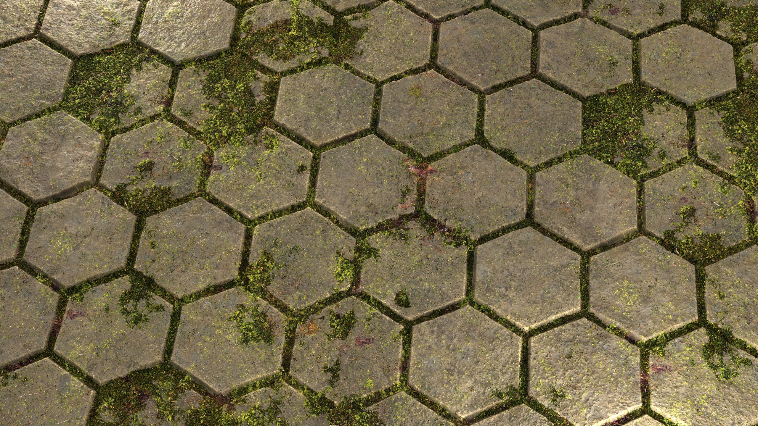 Media 1 for listing Mossy Paving Stones 8K PBR Texture