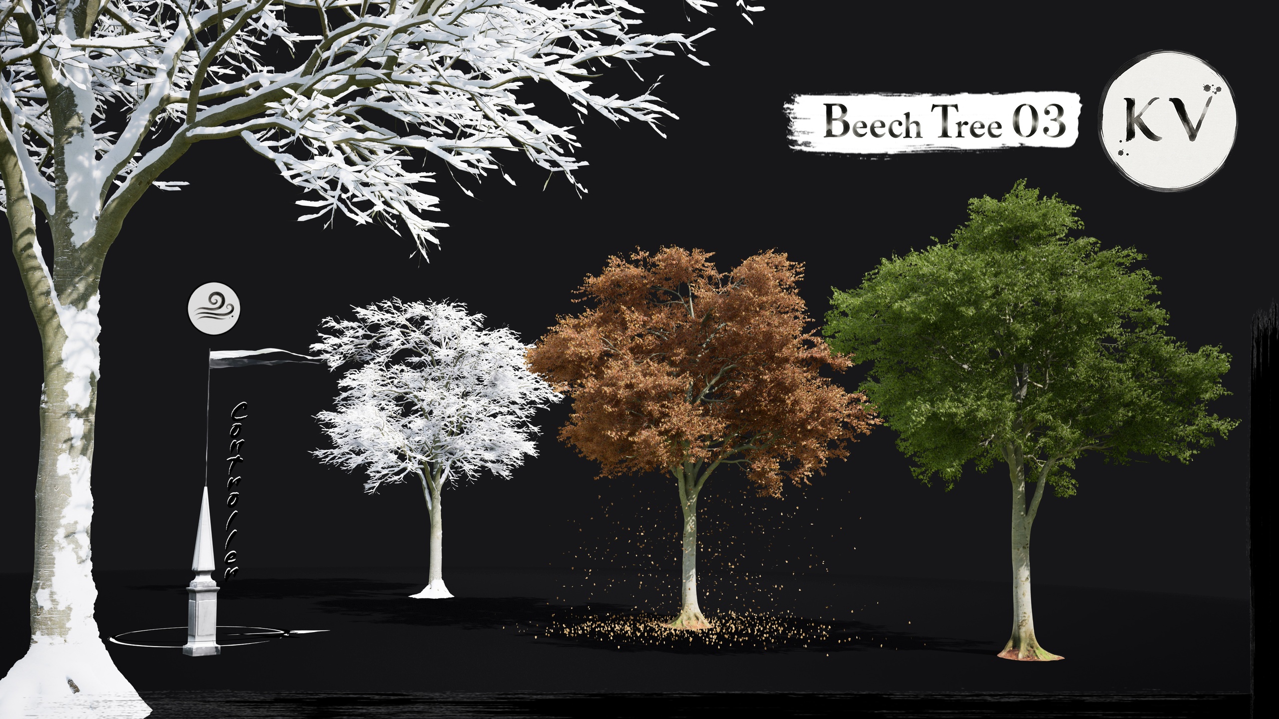 Media 1 for listing KV 🌳 Beech Tree 03 — Cinematic Animated Tree |Nanite | Wind | Seasons|