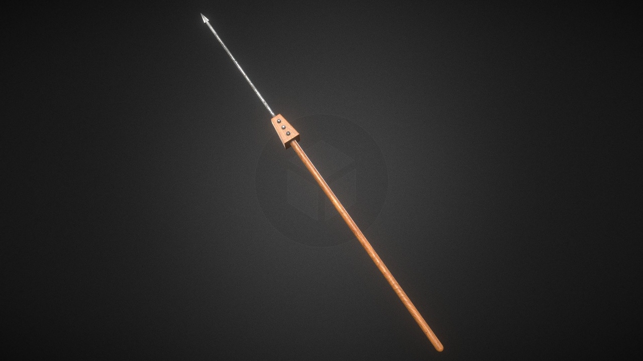 Media 1 for listing Roman Weapons - Pilum