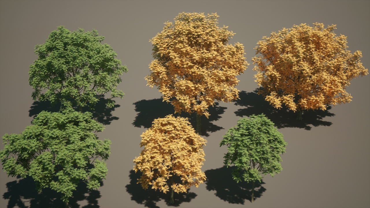 Media 1 for listing Various high-precision realistic trees v3