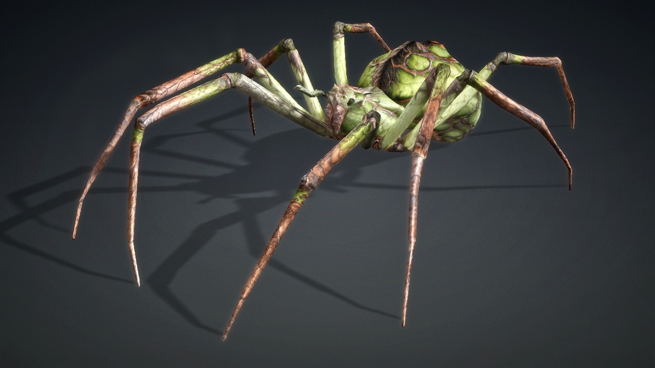 Media 1 for listing Spider_V6d