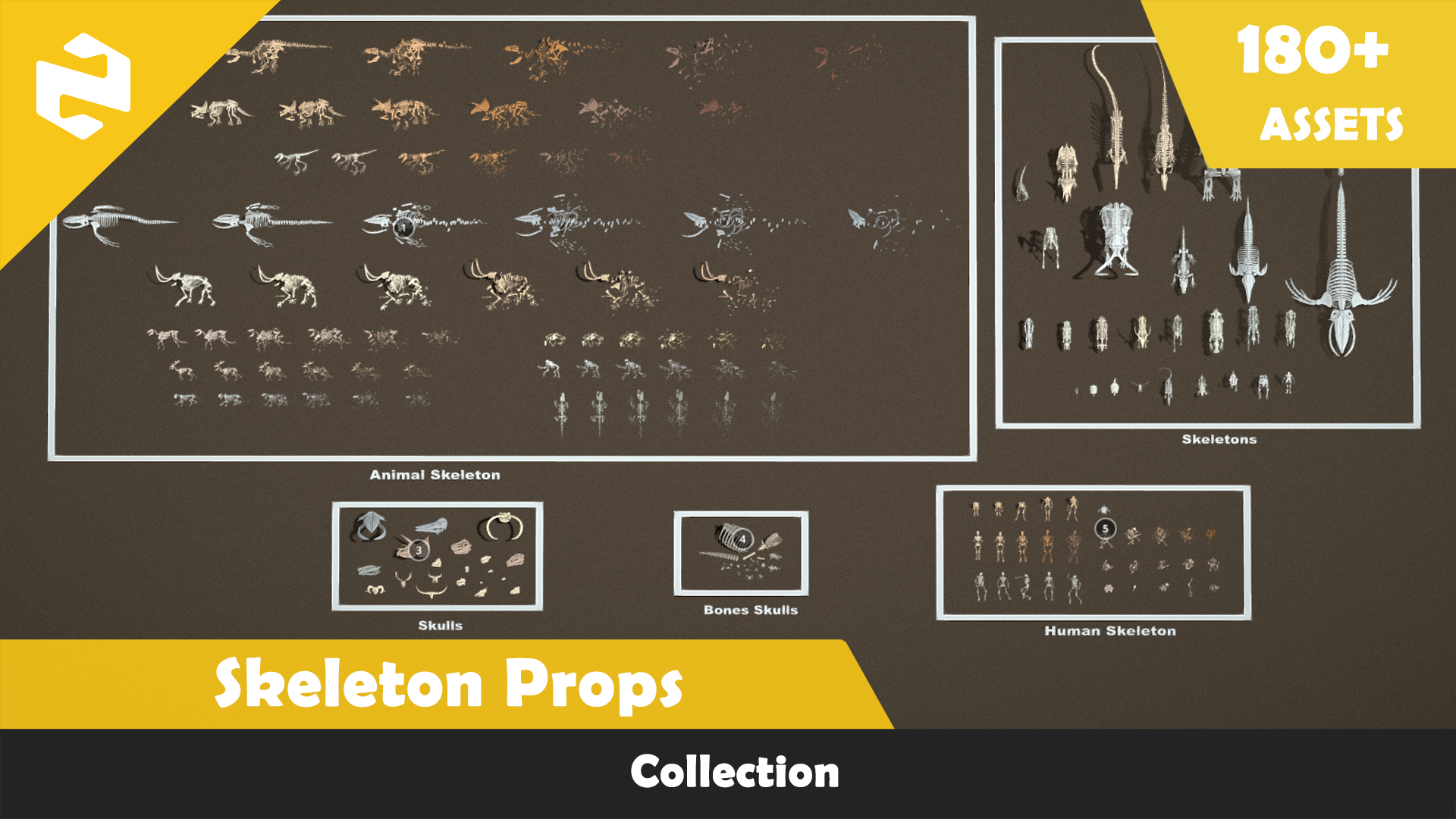 Skeleton Props Collection | Fab