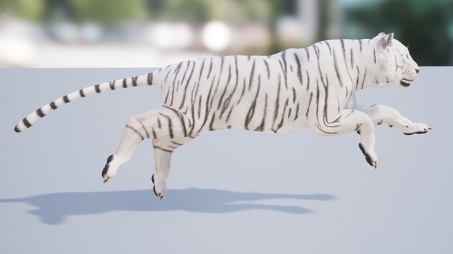Tiger | Fab