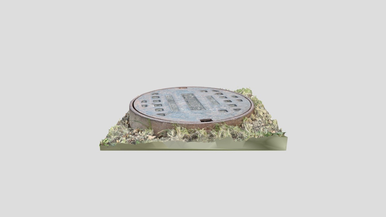 Media 1 for listing Manhole Cover - RealityScan