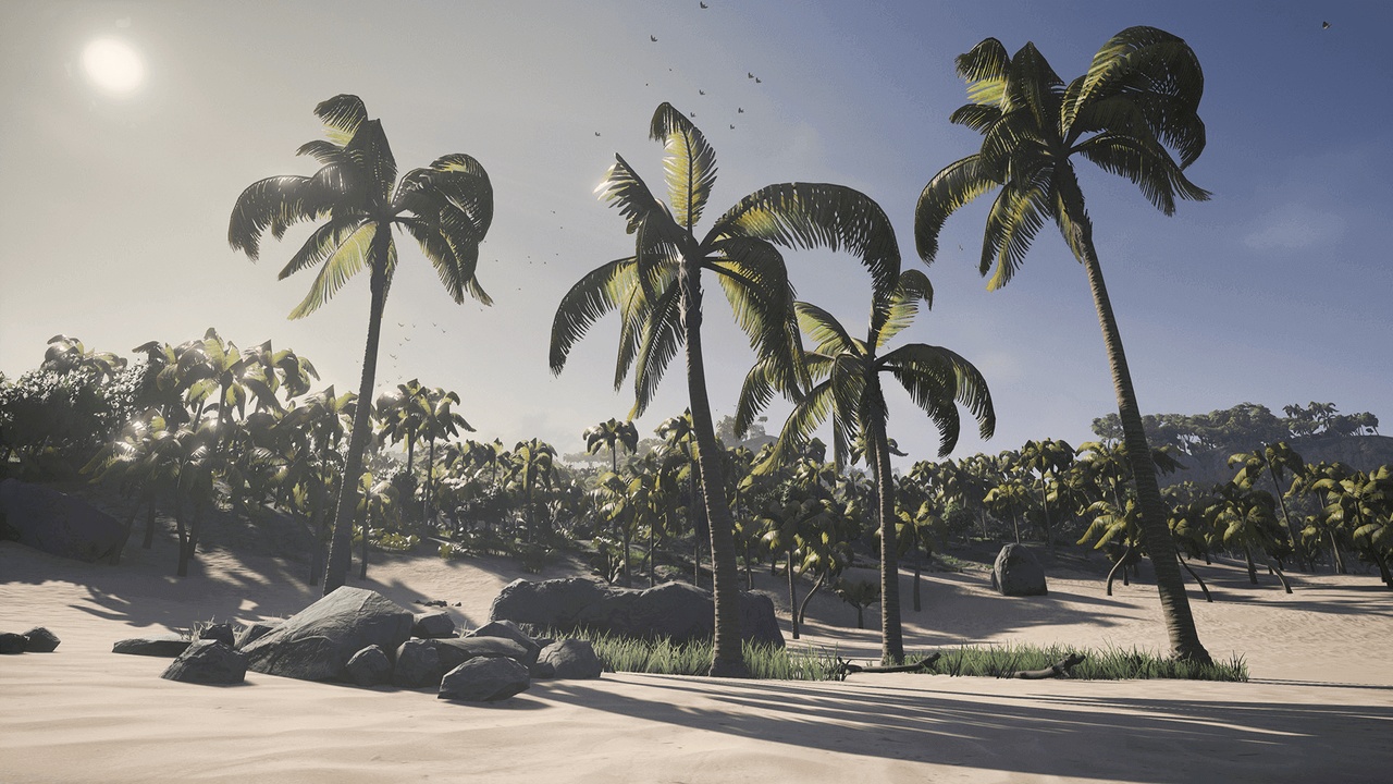 Media 1 for listing Tropical Island Environment
