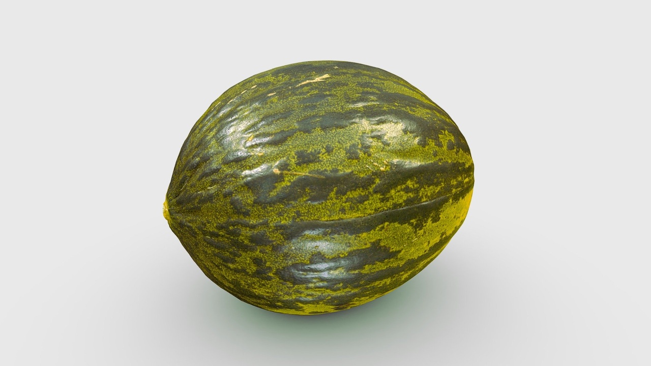 Media 1 for listing Melon Photogrammetry LowPoly 4K