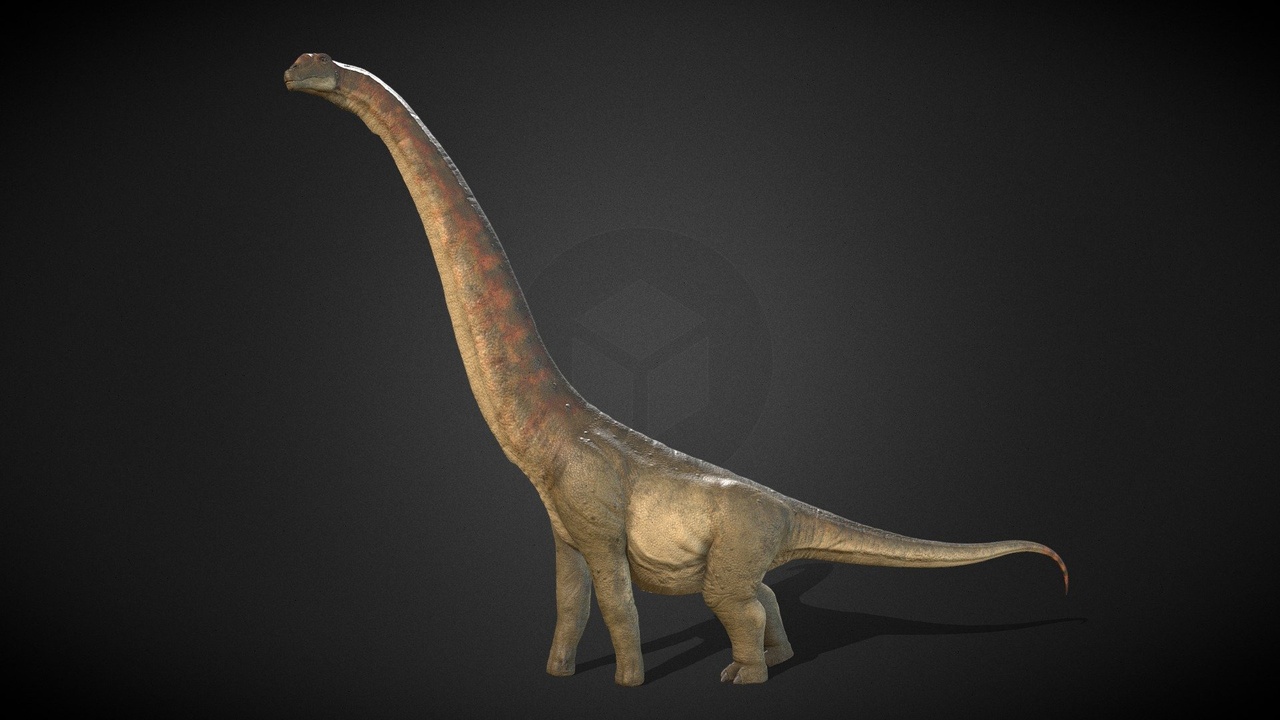 Media 1 for listing Argentinosaurus