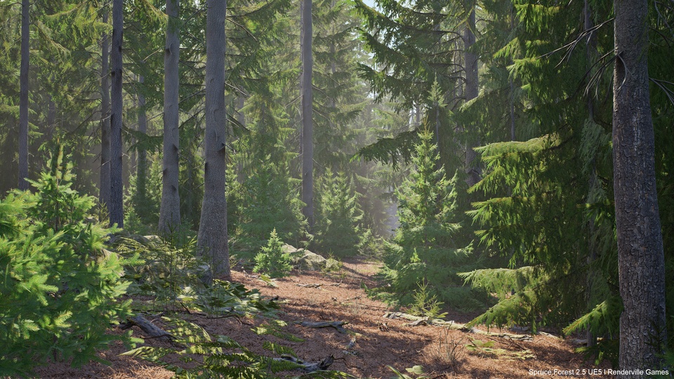 紙ジャケ2枚★フォレスト FOREST/フォレスト、フル・サークルHARVEST Spruce Forest | Fab