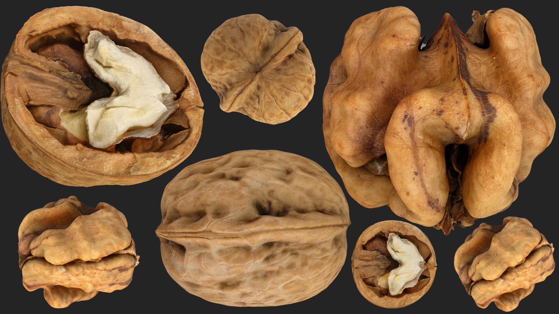 Walnuts Collection Walnuts Set | Fab