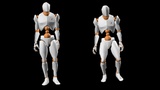 Asset image