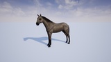 Asset image