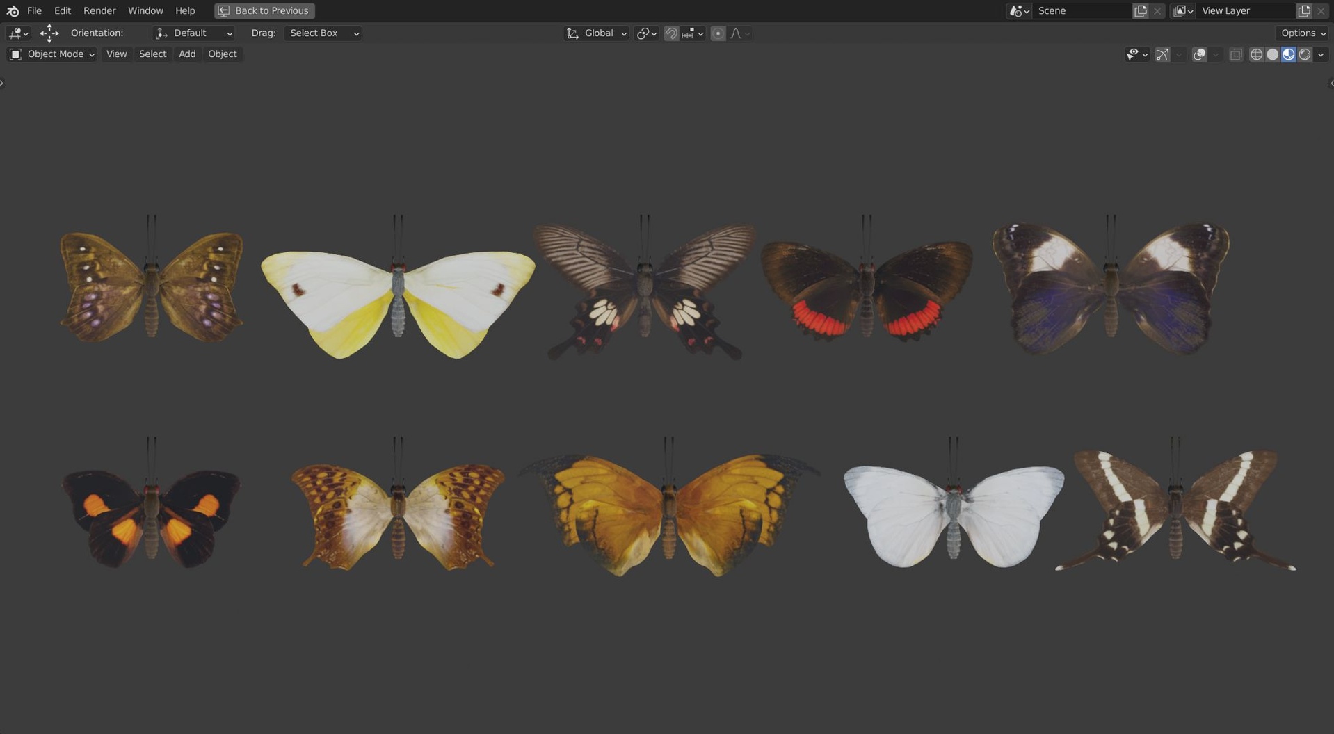 出品Butterfly Collection PBR Rigged Animated 3D modelのメディア1