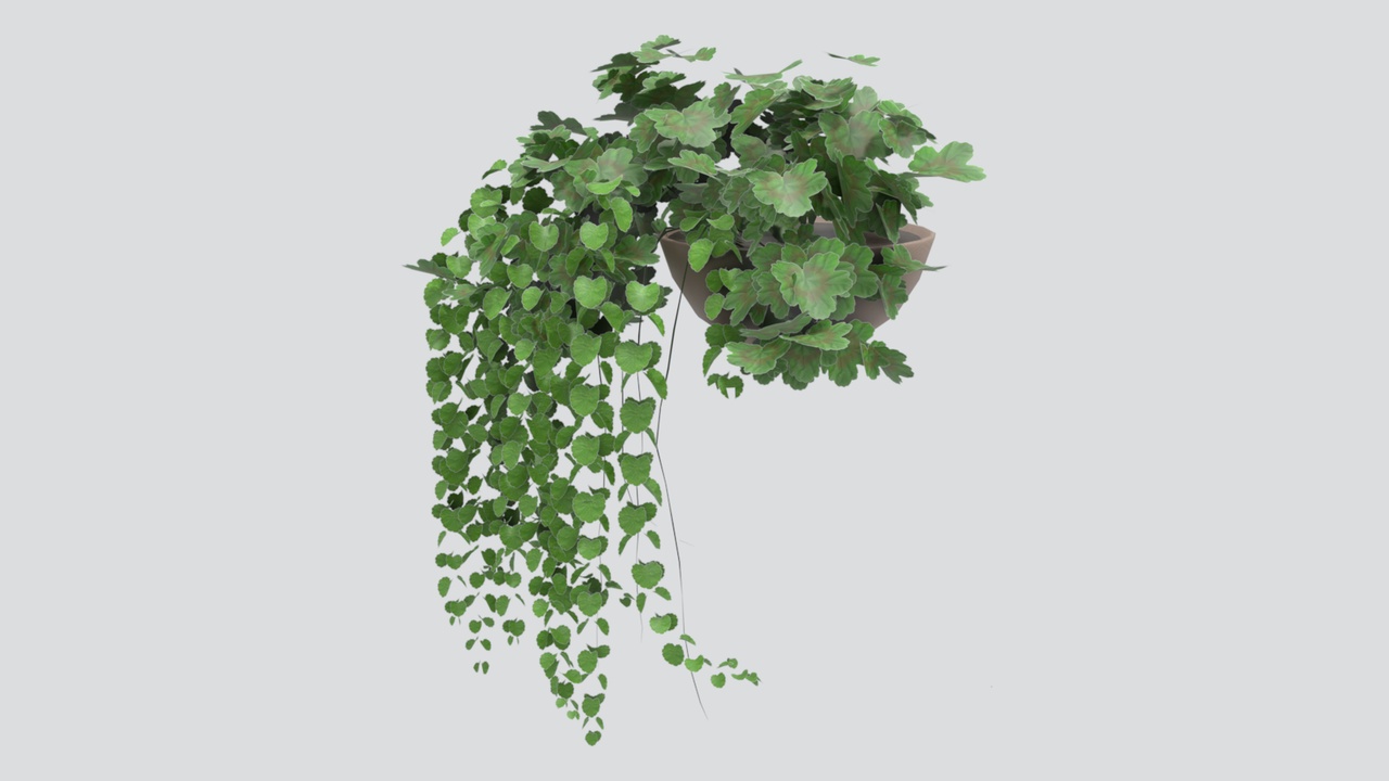 Media 1 for listing Hanging Wall Planter with Trailing Greenery 3D Model
