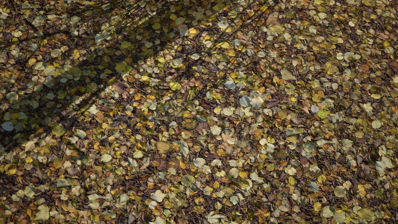 Media 1 for listing Leaves Vol. 2 - Scanned Materials
