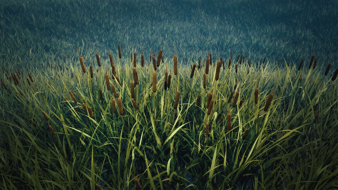 Media 1 for listing Nanite Foliage - Cattail