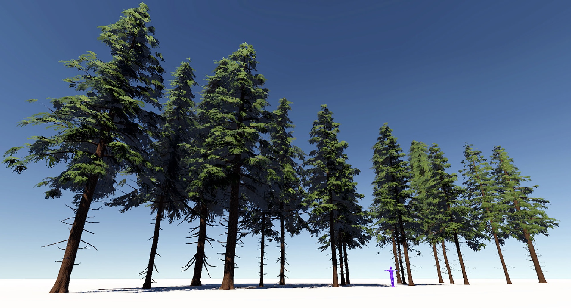 Media 1 for listing Gen05 Pine Trees01