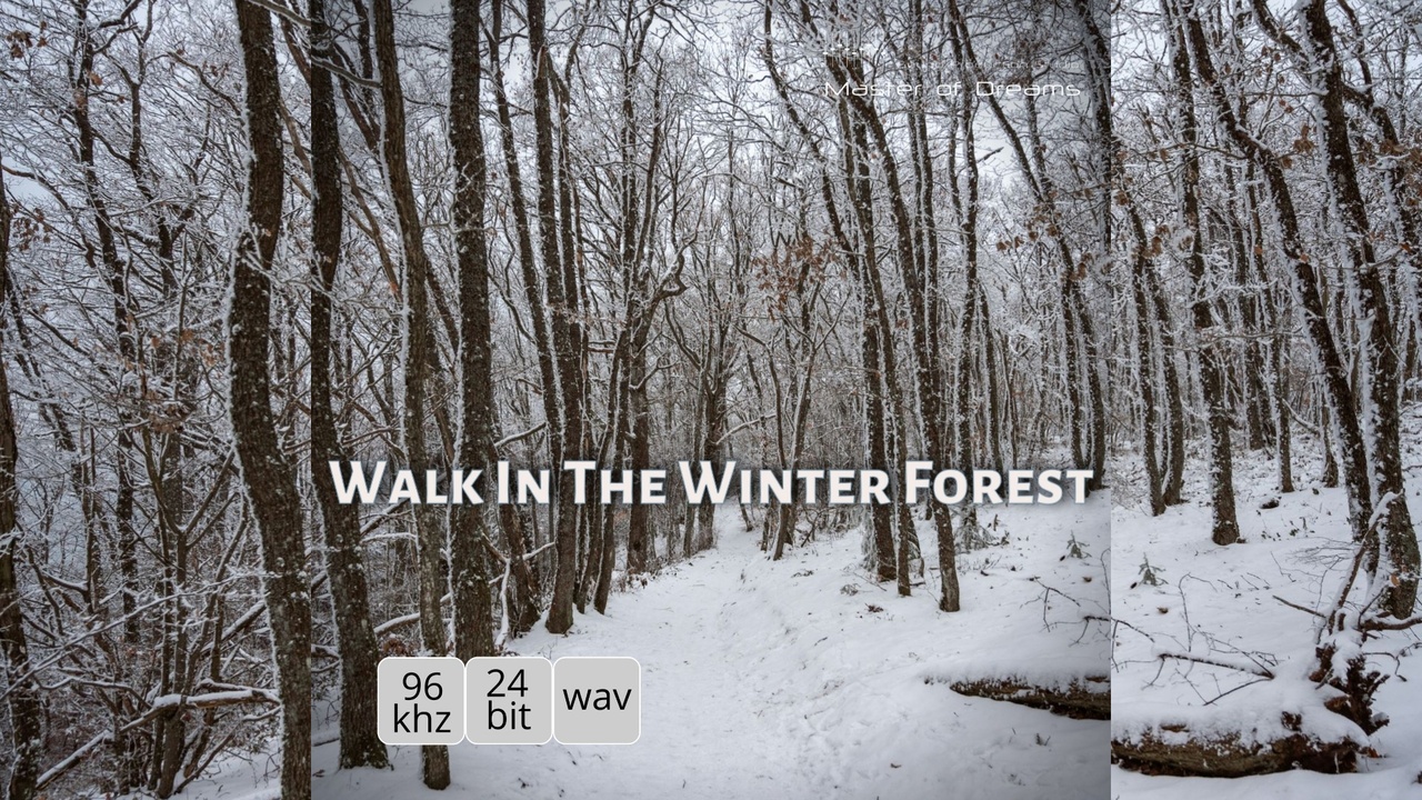Media 1 for listing Walk In The Winter Forest