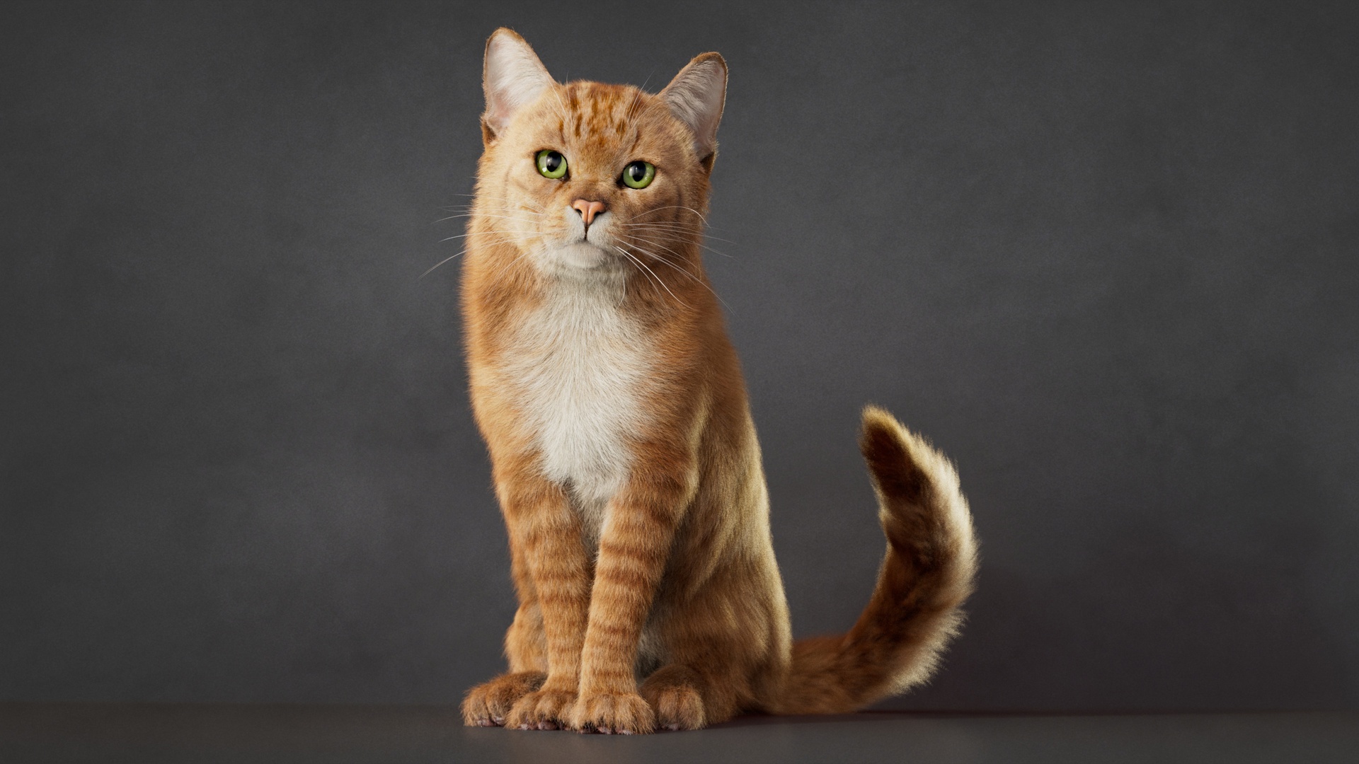 Media 1 for listing Cat 2026 Orange Tabby (RIG) Maya Xgen-Core