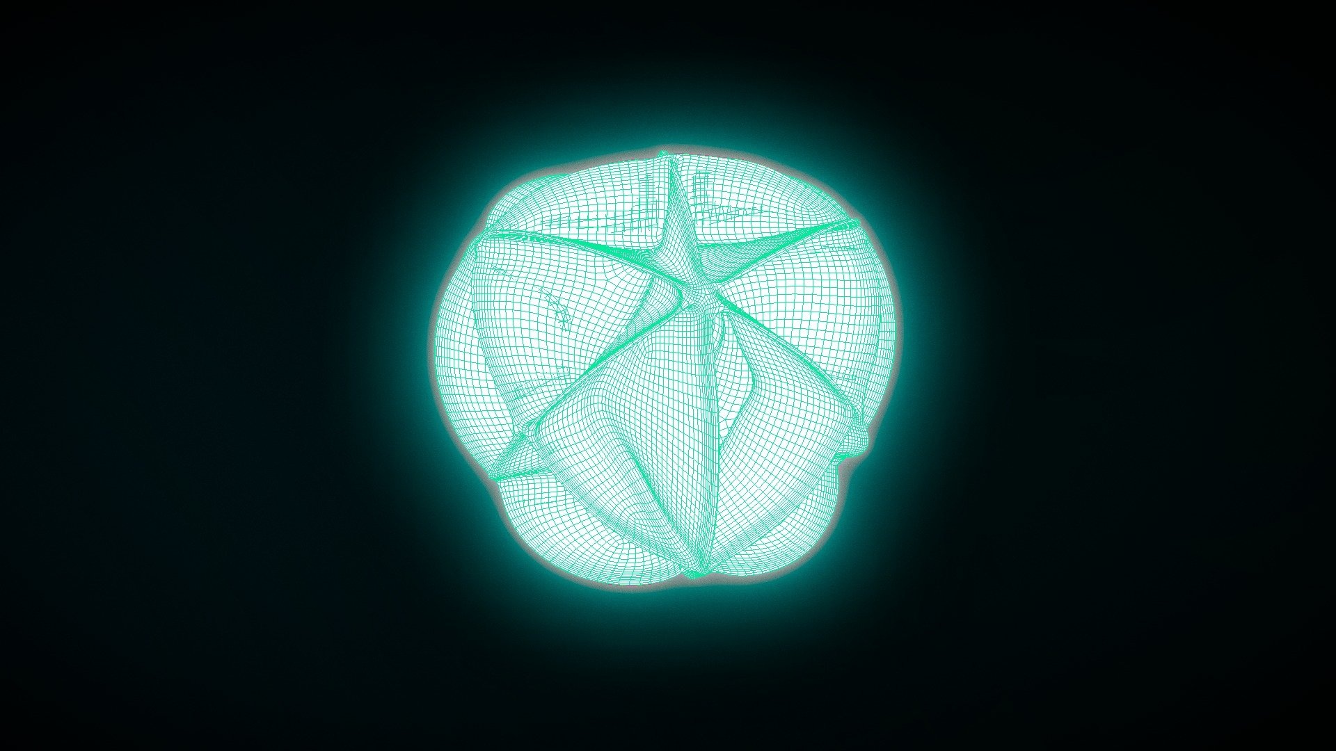 Calabi- Yau Manifold | Fab