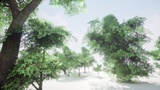 Asset image