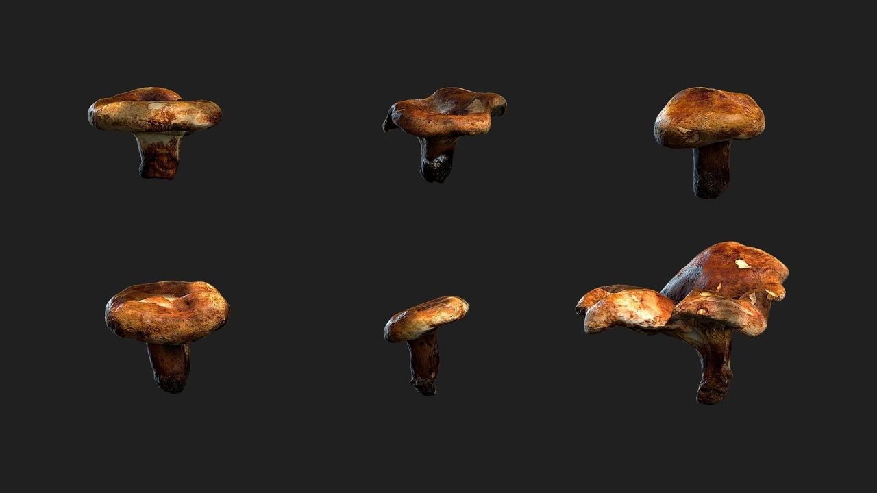 Medium 1 für Eintrag Scatter Mushrooms Pack