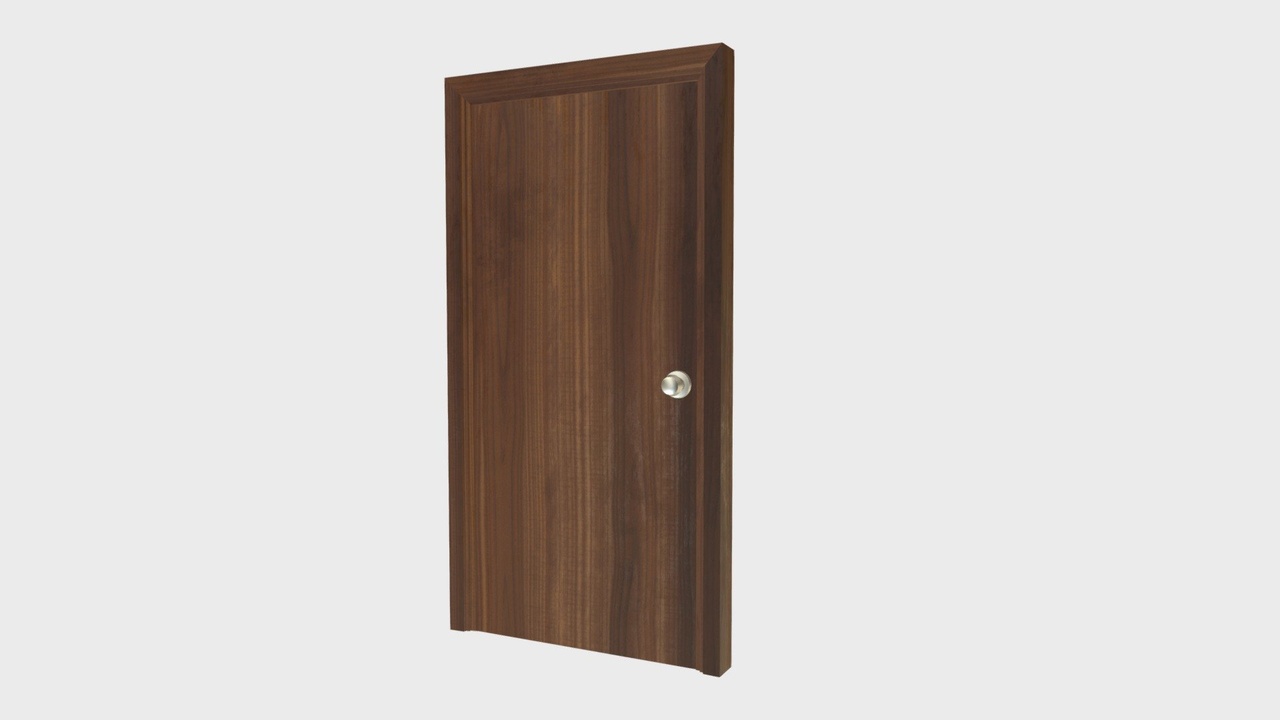 Media 1 for listing Flush door with frame