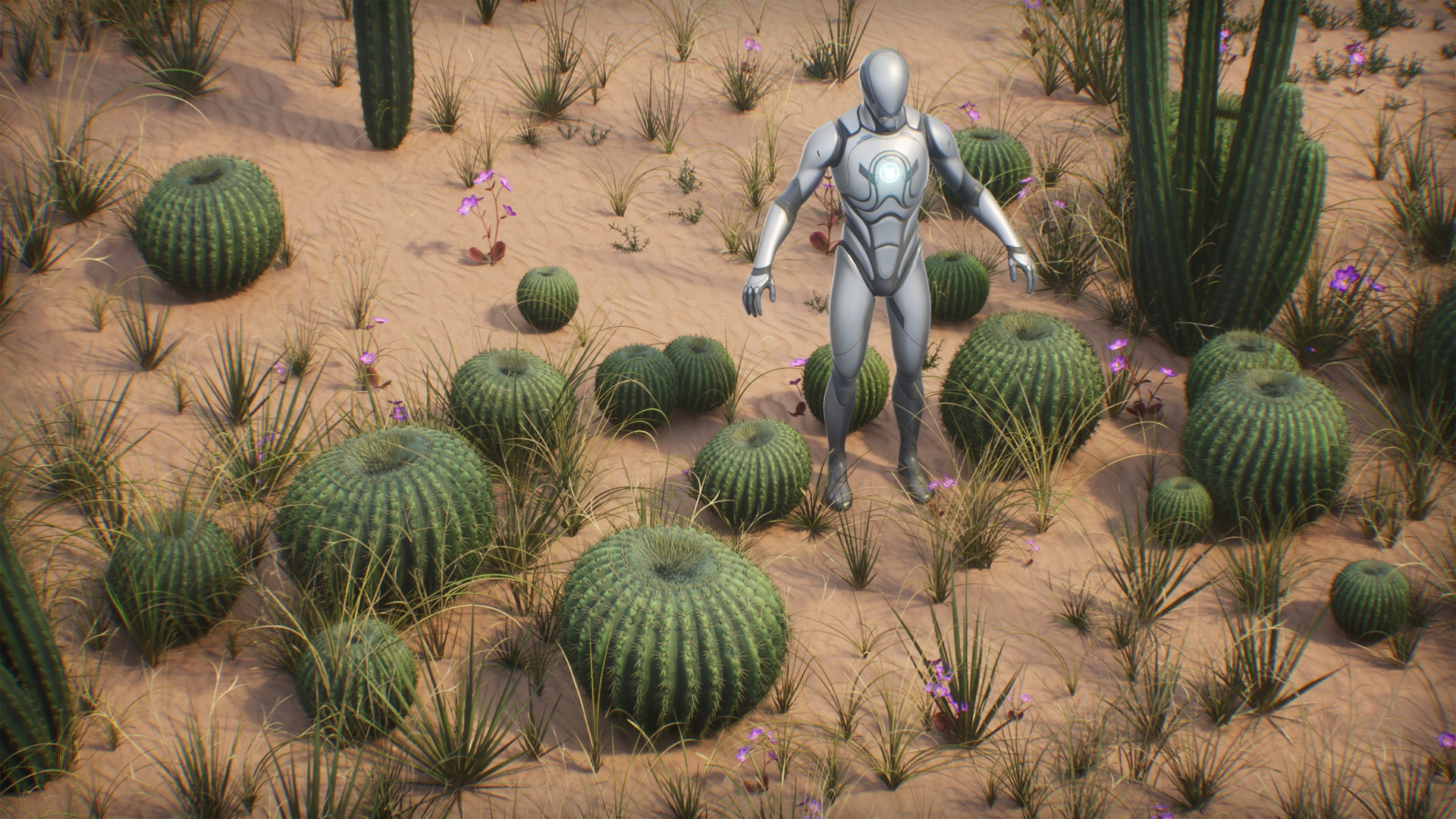 商品 Desert vegetation 的媒体 1