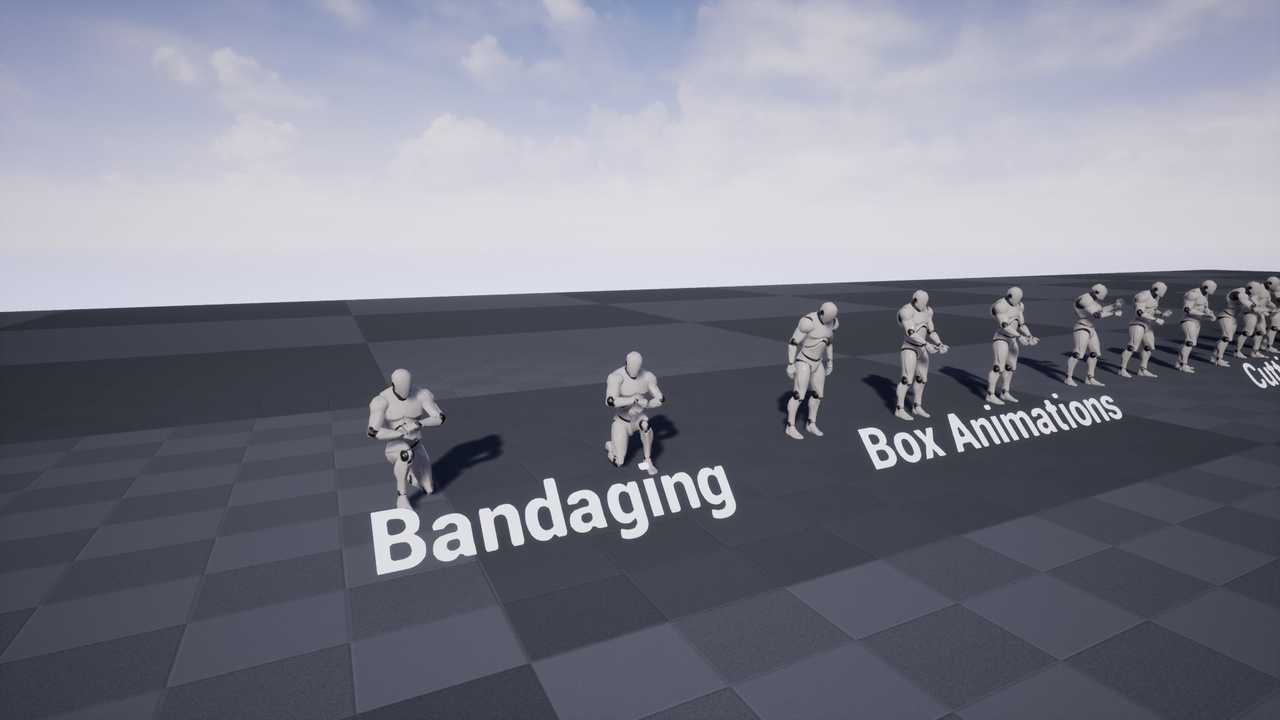 Media 1 for listing Idle Animset Pack
