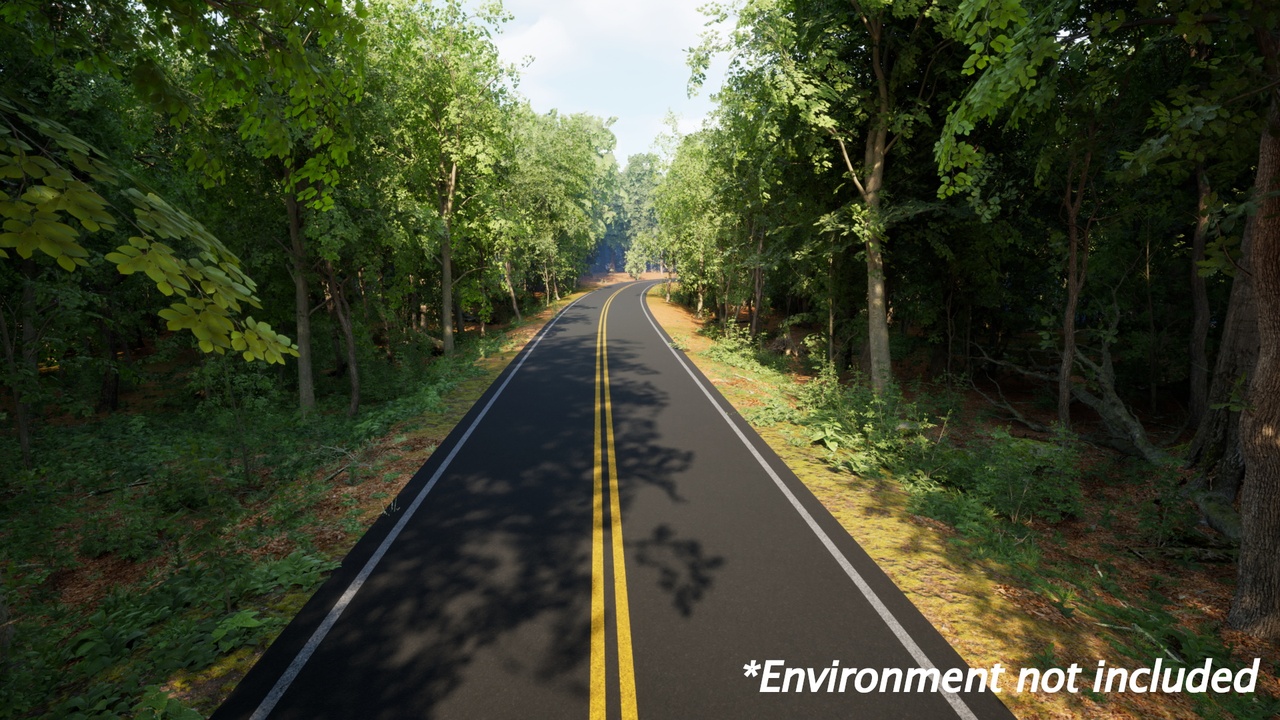 Media 1 for listing Dynamic Road System