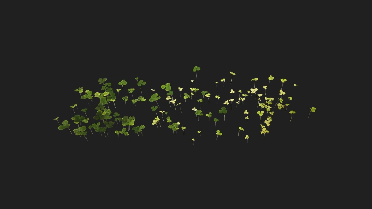 Clovers | Fab